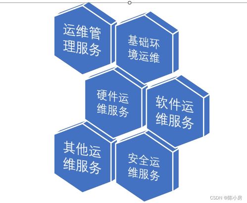 第4篇 信息技術服務知識——技術服務