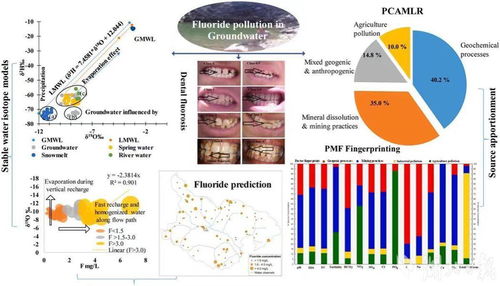 科技服務健康絲路，留學生論文點亮國際學術舞臺