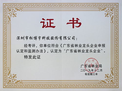 免漆板十大品牌松博宇 廣東省林業(yè)龍頭企業(yè)